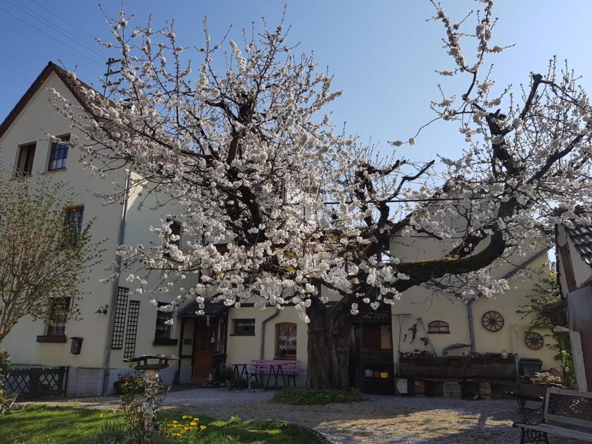 Ferienwohnung Zum-Alten-Kirschbaum Limburg an der Lahn Kültér fotó