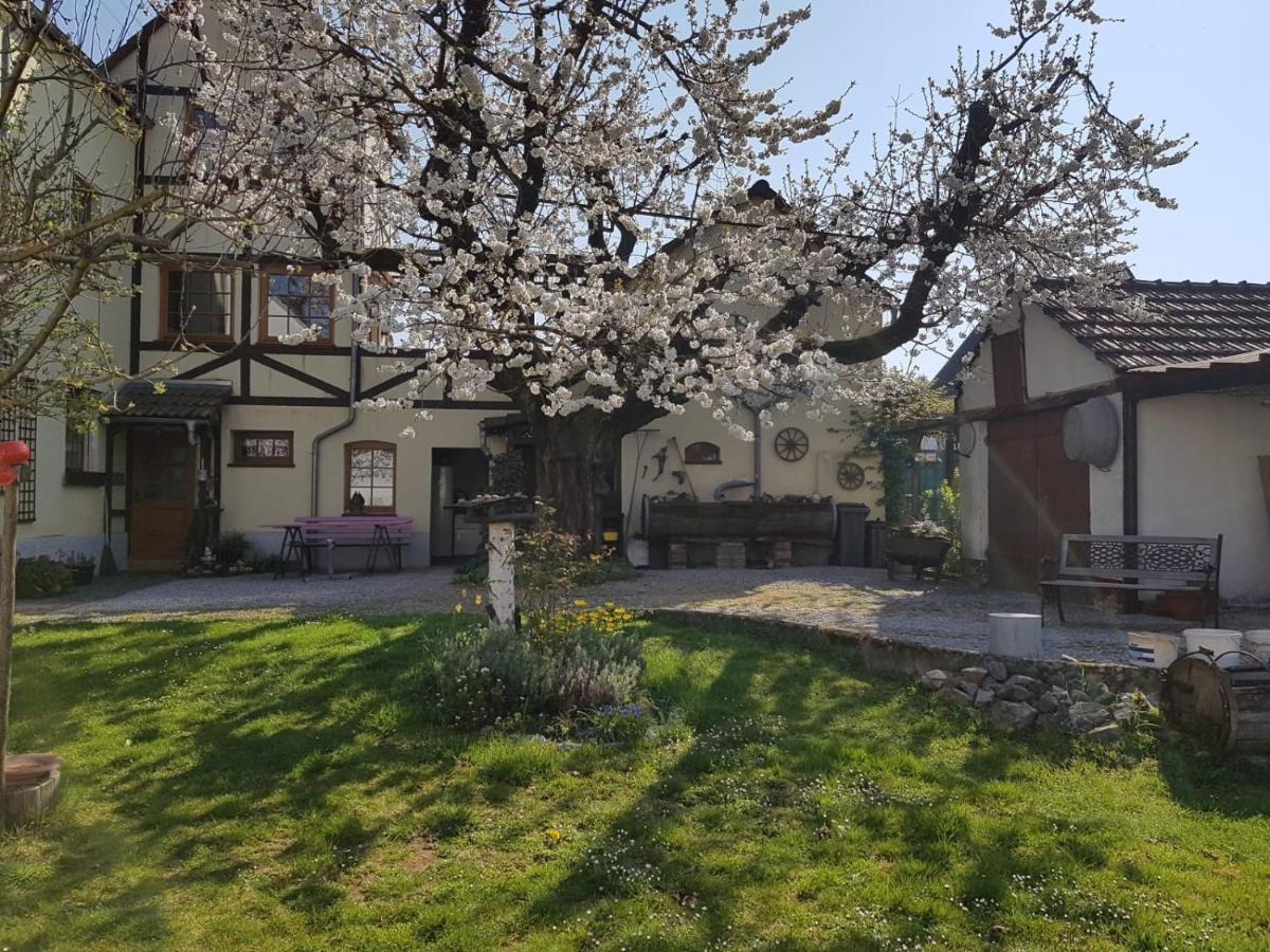 Ferienwohnung Zum-Alten-Kirschbaum Limburg an der Lahn Kültér fotó
